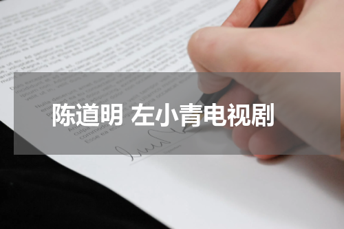 陈道明 左小青电视剧