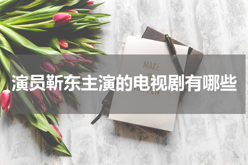 演员靳东主演的电视剧有哪些