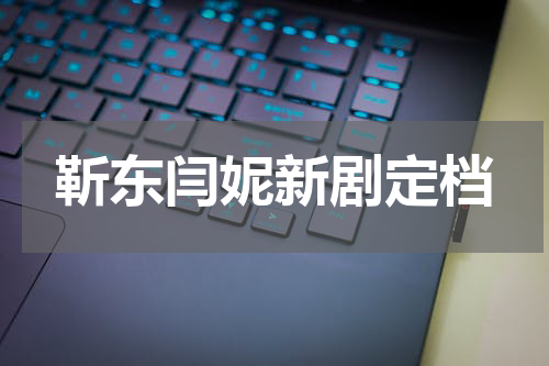 靳东闫妮新剧定档
