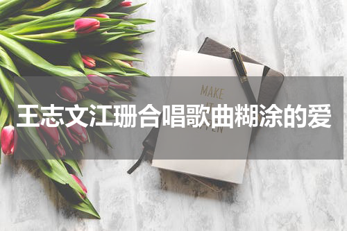 王志文江珊合唱歌曲糊涂的爱