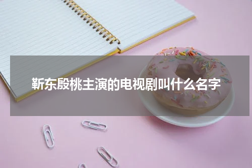 靳东殷桃主演的电视剧叫什么名字