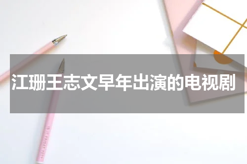 江珊王志文早年出演的电视剧