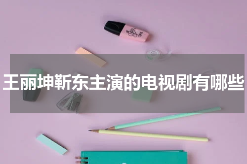 王丽坤靳东主演的电视剧有哪些