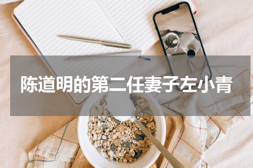 陈道明的第二任妻子左小青