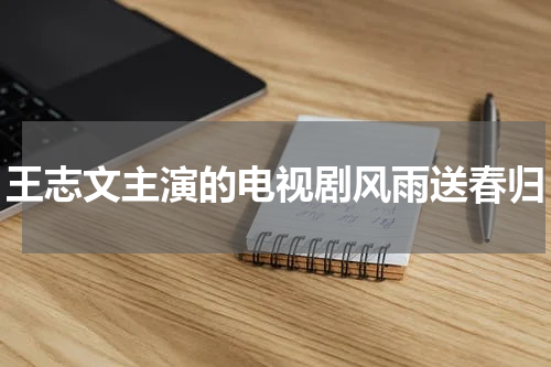 王志文主演的电视剧风雨送春归