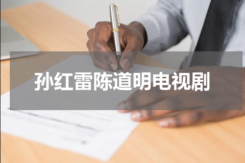 孙红雷陈道明电视剧