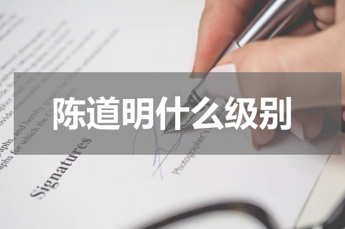 陈道明什么级别