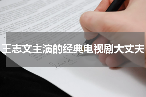 王志文主演的经典电视剧大丈夫