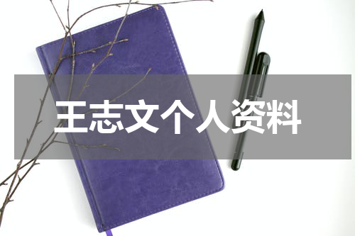 王志文个人资料