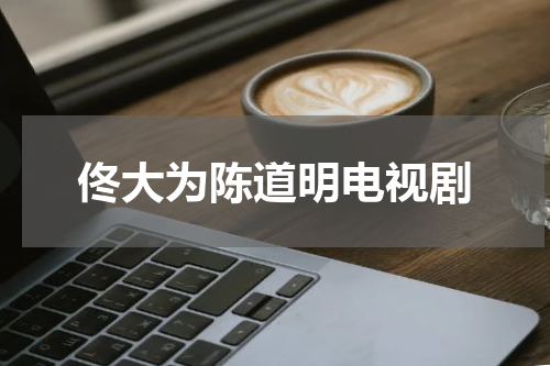 佟大为陈道明电视剧