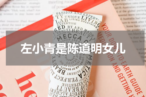 左小青是陈道明女儿