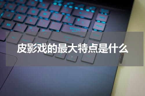 皮影戏的最大特点是什么