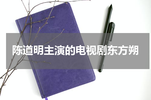 陈道明主演的电视剧东方朔