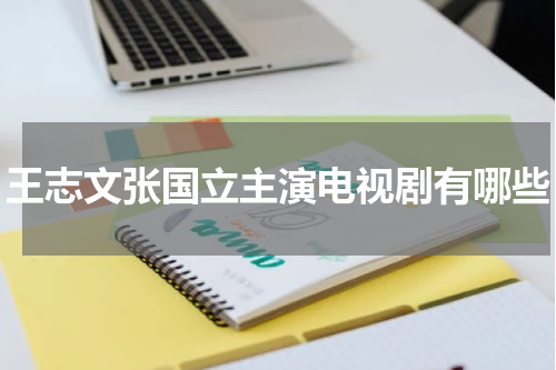 王志文张国立主演电视剧有哪些