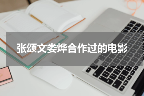 张颂文娄烨合作过的电影
