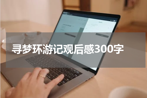 寻梦环游记观后感300字