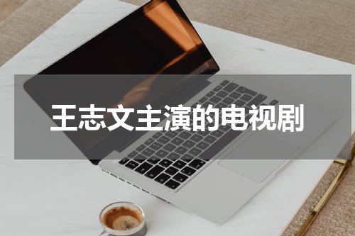 王志文主演的电视剧