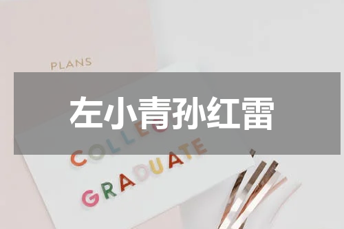 左小青孙红雷