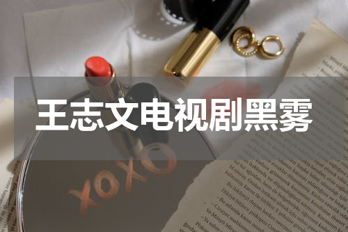 王志文电视剧黑雾