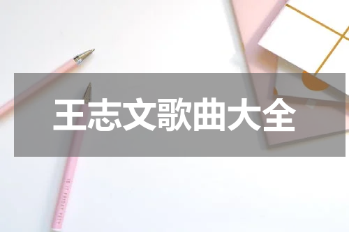 王志文歌曲大全