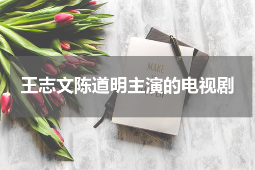 王志文陈道明主演的电视剧