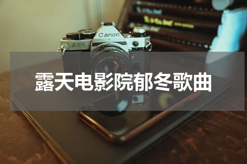露天电影院郁冬歌曲