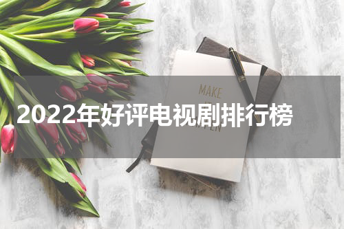 2022年好评电视剧排行榜