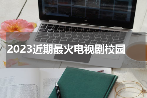 2023近期最火电视剧校园
