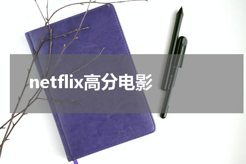 netflix高分电影
