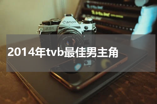 2014年tvb最佳男主角