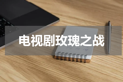 电视剧玫瑰之战