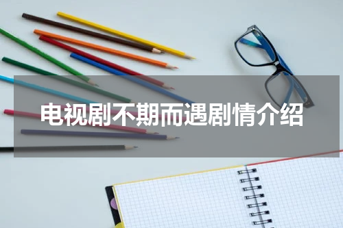 电视剧不期而遇剧情介绍