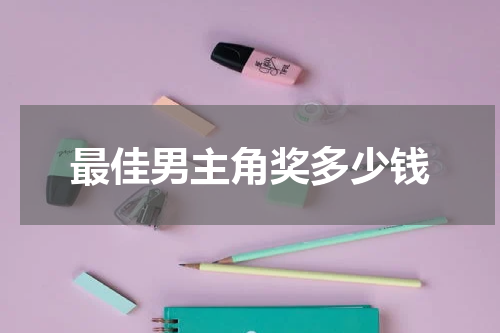 最佳男主角奖多少钱