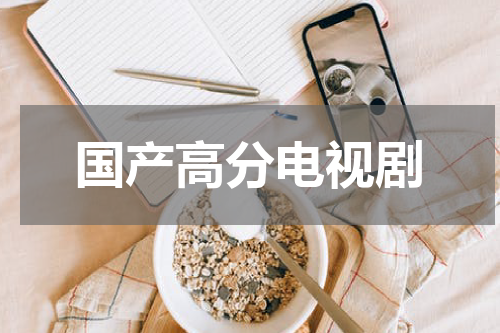 国产高分电视剧