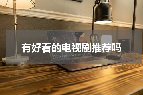 有好看的电视剧推荐吗