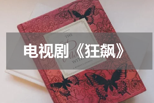 电视剧《狂飙》