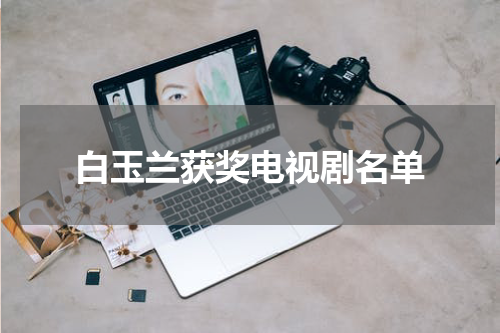 白玉兰获奖电视剧名单