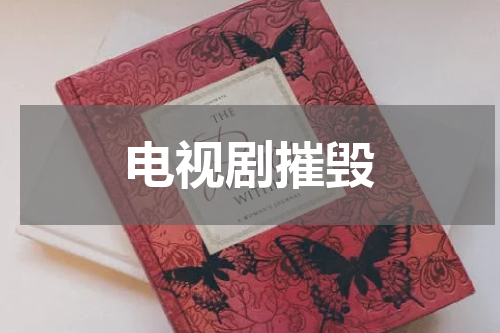 电视剧摧毁