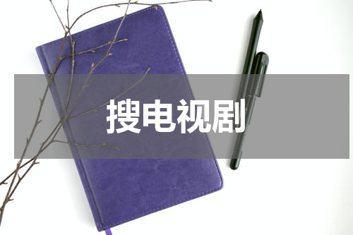 搜电视剧