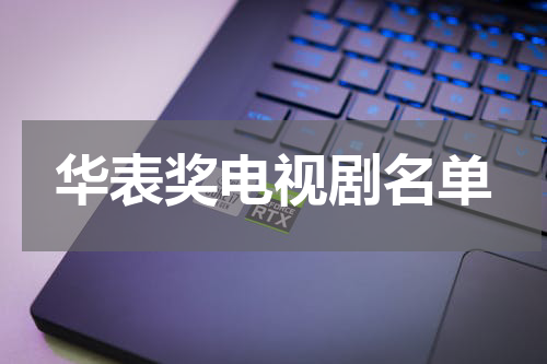 华表奖电视剧名单