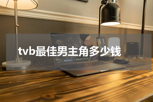 tvb最佳男主角多少钱