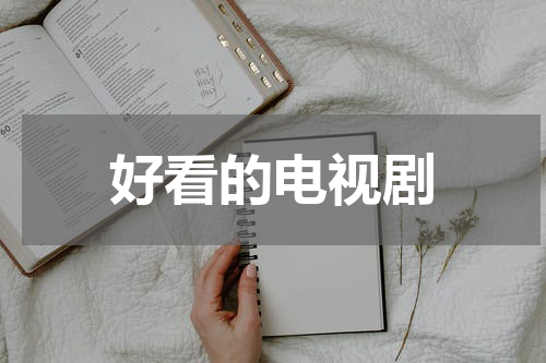 好看的电视剧