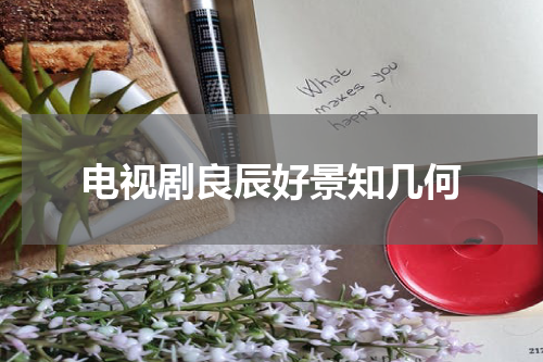 电视剧良辰好景知几何