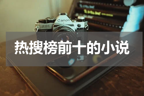 热搜榜前十的小说