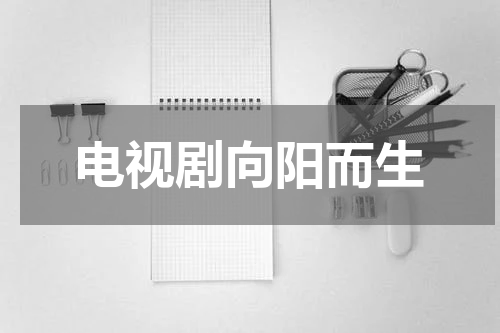 电视剧向阳而生