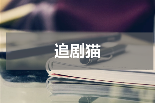 追剧猫