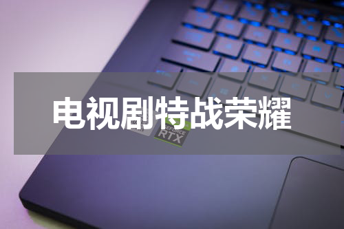 电视剧特战荣耀