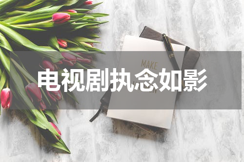 电视剧执念如影