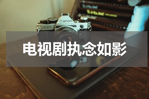 电视剧执念如影