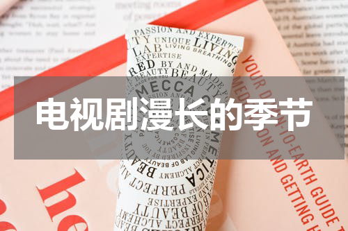 电视剧漫长的季节